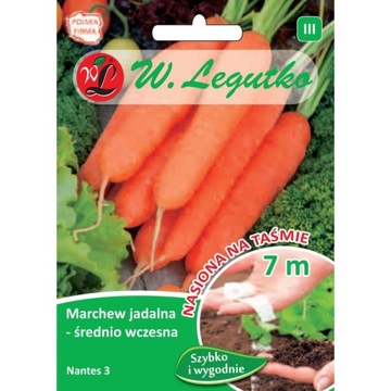 MARCHEW NA TAŚMIE 7 METRÓW