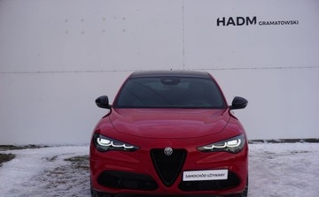Alfa Romeo Stelvio SUV Facelifting 2023 2.2 JTDM 210KM 2024 Alfa Romeo Stelvio Alfa Romeo Stelvio Tributo Italiano 2.1 Diesel 210KM, zdjęcie 1