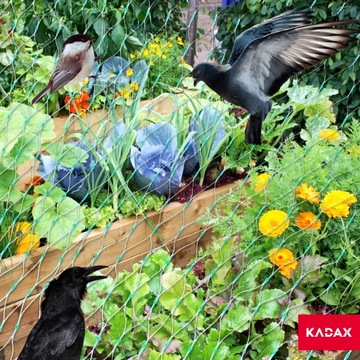 ЗАЩИТНАЯ СЕТКА ОТ ПТИЦ ДЛЯ ПТИЦ 5х50м