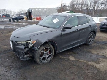 Alfa Romeo Stelvio SUV 2.0 Turbo 280KM 2019 Alfa Romeo Stelvio 2019 ALFA ROMEO STELVIO AWD 2.0 Benzyna 280KM, zdjęcie 2