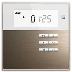 ПОТОЛОЧНОЕ РАДИО BLUETOOTH ДИНАМИКИ MP3 ВАННАЯ КУХНЯ НАСТЕННЫЙ ПЛЕЕР