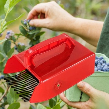 BIOWIN BLUEBERRY PICKER, ЧЕРНИКА, СМОРОДИНА