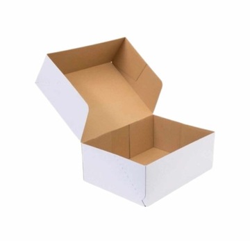 Karton Fasonowy 250x150x100 mm biały 350g/m2 - zestaw 10 sztuk