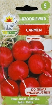Rzodkiewka Carmen smaczna duża wczesna nasiona Plenna