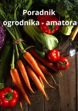 КОЛЕСО ДЛЯ ТАЧКИ, ТЕЛЕЖКИ, БЕСТЮБОЧНОЕ СВЕРХКОЛЕСНОЕ КОЛЕСО 3.00-4