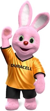 Щелочная батарейка Duracell D (R20) 2 шт.
