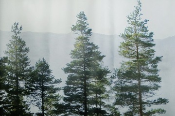 Штора для душа AVE 150x200 полиэстер LAS