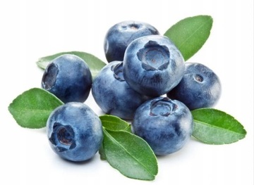 ZIEMIA PODŁOŻE DO BORÓWKI 50L NAWÓZ TORF KWAŚNY