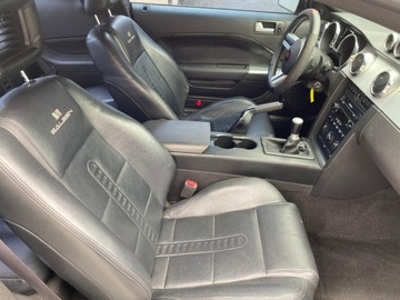 Ford Mustang V 2007 Ford Mustang GT 2007 4.6l 4.6 Benzyna 300KM, zdjęcie 9