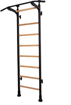 ЛЕСТНИЦА ГИМНАСТИЧЕСКАЯ ДЛЯ ЗАНЯТИЙ СО БРУСЬЮ 511