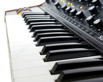 Moog Последующий 37 Стандарт