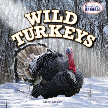 Wild Turkeys - Magby, Meryl