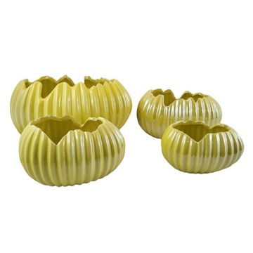 DONICZKA/OSŁONKA SKORUPKA ŻÓŁTA PERŁOWA