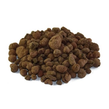 Стартовый набор Nice Forest в стеклянной банке