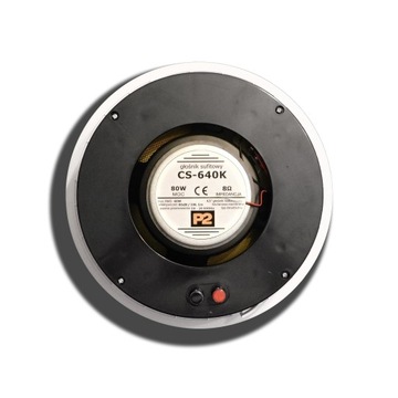 P2 AUDIO RADIO INTERNETOWE PODTYNKOWE Z BT + GŁOŚNIKI 2X 40W