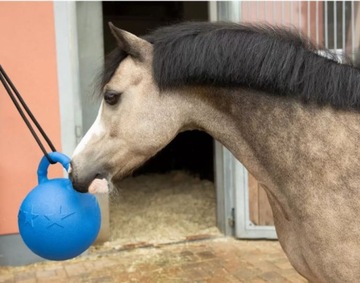МЯЧ ДЛЯ ЛОШАДИ ДЛЯ БОКСЕРСКОЙ КОНЮШНЯ BLUEBALL FUN