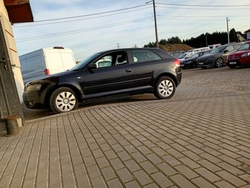 Audi A3 8P Hatchback 3d 1.6 102KM 2005 Audi A3 220tyś przebiegu, zdjęcie 8