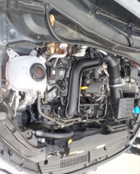 Volkswagen Polo VI Hatchback 5d Facelifting 1.0 TSI 95KM 2024 Volkswagen Polo Okazja Benzyna 95KM, zdjęcie 4