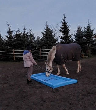 Лошадь с препятствиями HorseMania + 3 шеста, выдвижная 2 в 1 ПЕРСОНАЛИЗАЦИЯ