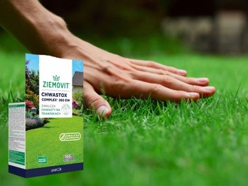 CHWASTOX COMPLEX 260 EW 100ML WEED REMOVER IN GRASS препарат для опрыскивания