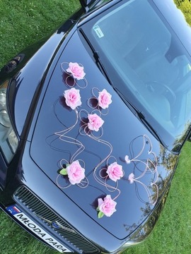 Живописное украшение автомобиля Украшение автомобиля ПЕРО