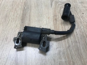 МОДУЛЬ КАТУШКИ PERFORMANCE POWER 5HP КАТУШКА ИСКРА