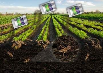 BIO NAWÓZ ŚRODEK PREPARAT NA KRETY NORNICE PĘDRAKI TURKUCIE TALPAX 1,2KG