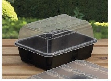 Propagator mini szklarenka z drenażem 23x17x12,5cm