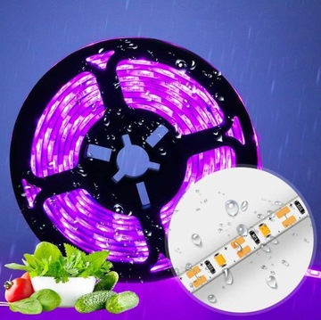 СВЕТОДИОДНЫЕ ЛЕНТЫ ДЛЯ РАСТИТЕЛЬСТВА 300CM180LED