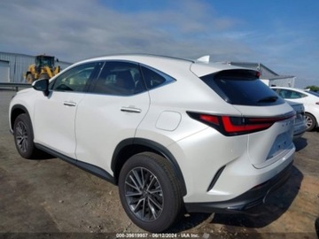 Lexus NX II 2024 Lexus NX 2024 Lexus NX NX 250 Premium FWD 2.5 Benzyna 203KM, zdjęcie 2