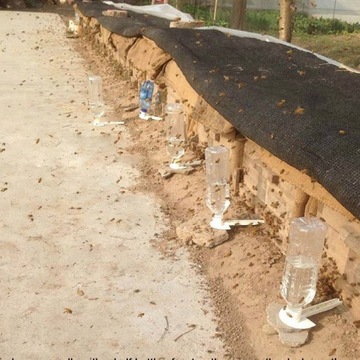 Кормушка для воды для пчел, 5 шт.