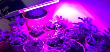 MINI LAMPA DO WZROSTU UPRAWY ROŚLIN FULL SPECTRUM LIGHT USB 14 DIOD LED UV