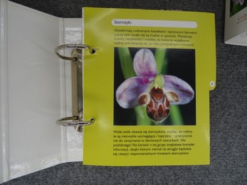 Набор из 6 каталогов ДОМ, ПОЛНЫЙ ЦВЕТОВ Азбука горшечных растений