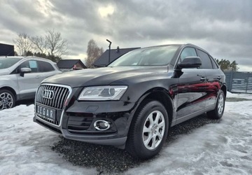 Audi Q5 I SUV Facelifting 2.0 TDI clean diesel 190KM 2015 Audi Q5 2,0 190 KM Bezwypadkowy Po Duzym Serwisie 2.0 Diesel, zdjęcie 17