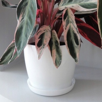 ПОДСТАВКА 13 СМ ЧЕРНЫЙ ПЛАСТИК