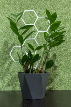 ПОДДЕРЖКА ДЛЯ ЦВЕТОВ ЛЕСТНИЦА ДЛЯ ПЕРГОЛЫ 37см