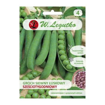 GROCH Sześciotygodniowy nasiona ZAPRAWIANE 40g LEGUTKO