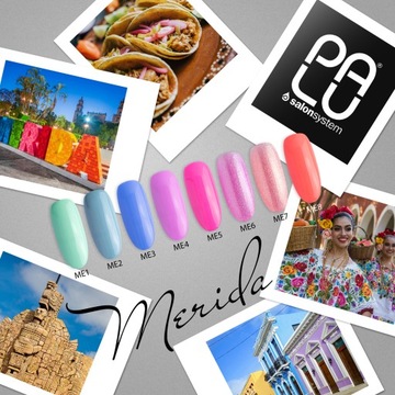 PALU Lakier hybrydowy Merida ME5 -11 g