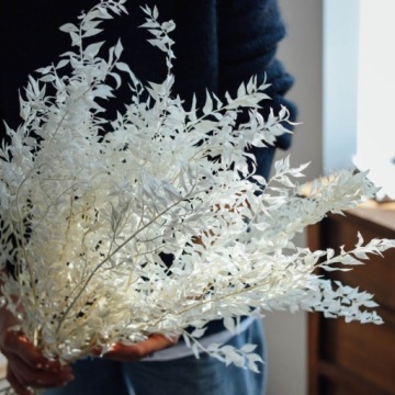 РУСКУС ОТБЕЛЕННЫЙ СУШЕНЫЙ БЕЛЫЙ РУСКУС ДЛЯ КОМПОЗИЦИИ БУКЕТА 5ШТ