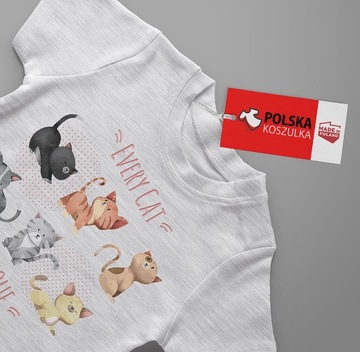 ФУТБОЛКА КОШКИ КОТЯТА ФУТБОЛКА 116 122 КАЧЕСТВО КАЧЕСТВО