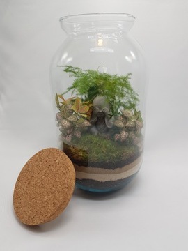 Лес в банке, лес в стекле + ФИГУРКА БУДДА, ХИТ своими руками