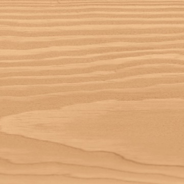 WOOD PROTECTION ECO&PROTECTION ДУБ СВЕТЛЫЙ 4,5л