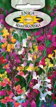 Lnica Marokańska Mieszanka 0,5g Roltico