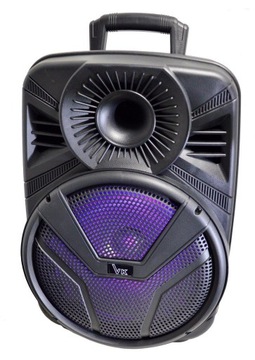 Duża Kolumna Bluetooth z Mikrofonem USB MP3 Radio
