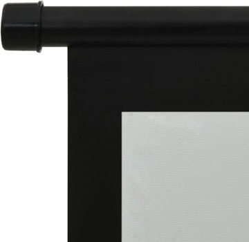 ПРОЕКЦИОННЫЙ ЭКРАН на штативе 200х150см 100