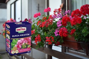 SUBSTRAL OSMOCOTE BURZA KWIATÓW BALKON NAWÓZ DO ROŚLIN BALKONOWYCH 300G