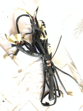 Жгут проводов Aprilia Red Rose 125