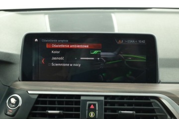 BMW X3 G01 SUV 2.0 30i 252KM 2019 BMW X3 xDrive30i, Salon Polska, Serwis ASO, 4X4, zdjęcie 22