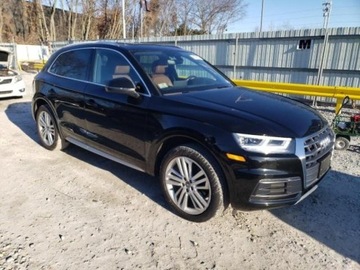 Audi Q5 II 2019 Audi Q5 2019r., Premium Plus, od ubezpieczalni 2.0 Benzyna 248KM, zdjęcie 5