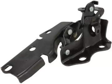 BLIC PANT KRYTU MOTORU 6802-00-8171451P